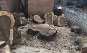 Розчищення ділянок \ ЗРІЗ СКЛАДНИХ АВАРІЙНИХ ДЕРЕВ Офіційно ФОП