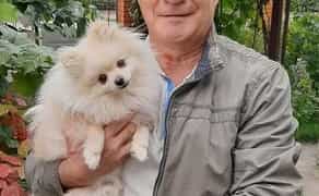 Дресирування. Кінолог. Зоопсихолог з вищою профільною освітою. Онлайн.