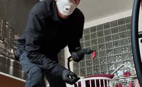 Знищення прусаків, тарганів, клопів бліх та мурах