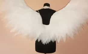 Крила янгола, крила метелика