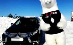 Білий ведмідь Полтава стриптиз ростова лялька аніматор панда на свято