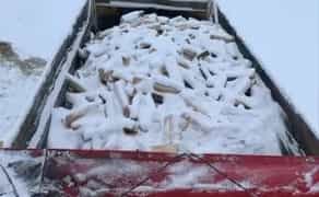 Доставимо дрова бук граб від 5 кубів до 20 кубів