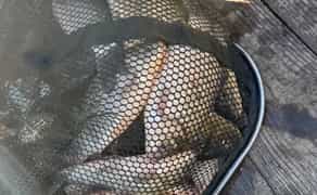 Три Гусака – База Відпочинку. Рибалка в Гореничах Беседка Домік.