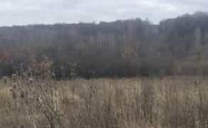 Ділянка - сільськогосподарська земля, с. Котюржинці.