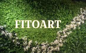 Фітостіна Вертикальне озеленення Фитостена Вертикальное озеленение