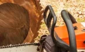 Спилювання дерев