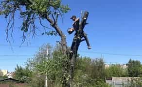 Спил дерев будь-якої складності