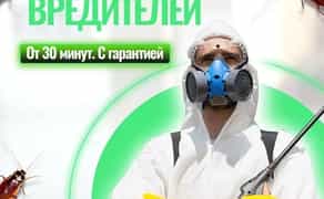 Дезинсекция дератизация. Травим тараканов шершней блох