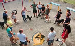Дрессировка собак в Черноморске и пригороде клуб CHAMPION