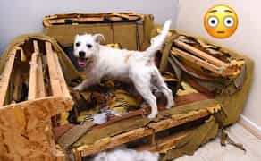 Ремонт та перетяжка м'яких меблів вдома. Viber фото. Працюю 24/7