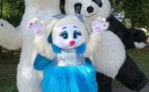 Белый мишка на праздник: оригинальное поздравление и море эмоций!