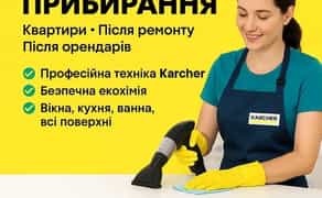 Генеральная уборка. Мойка окон. Химчистка.