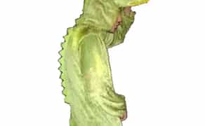 Костюм Дракоша — Крокодил