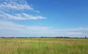 Земля, 2,15га, с.Вища Дубечня, під сад, овочі, теплиці, інше