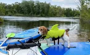 САП борад (SUP-board) подобово Дніпро