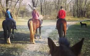 Конные прогулки Фотоссес