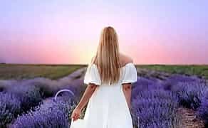 Фотосесія мрії в лавандовому полі