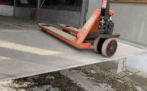 Рокла. Рохля