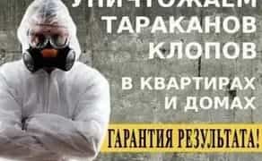 Знищення тараканів. Отруїти вивести тарганів клопів.