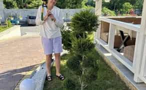 Фігурна стрижка, догляд та формування хвойних рослин