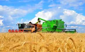 Перевезення пшениці зерновозами від 180 ₴/т