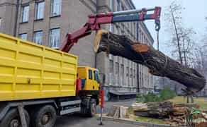 Маніпулятор - самоскид з грейферним ковшом