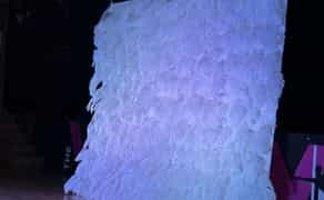 Фотозона пір’я