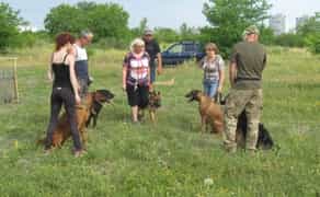 Дресирування собак будь-яких порід — корекція поведінки та навчання