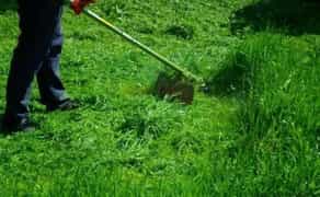 Косіння стрижка трави бур*янів газону