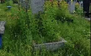 Вирівнювання, Реставрація Пам'ятників. Реставрація бруківки. Встановлення