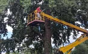 Надійні послуги автовишки. Телефонуйте!