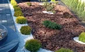 Послуги з скарифікації (вичісувння сухої трави) та аерація газону. Ціна від 7грн/м2