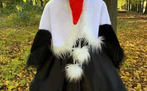 Костюми святкові