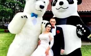 Білий ведмідь Кропивницький ростова лялька стриптиз аніматор панда .