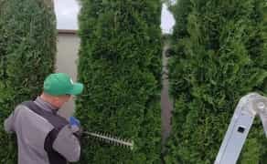 Садівник, Газон, обрізка топіар, ниваки, стрижка туй, ялівець