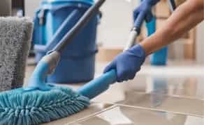 Клінінгові послуги, Професійне прибирання