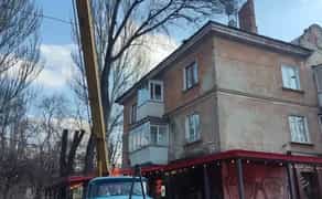 Професійна обрізка та спил дерев | Автовишка або арборист | Гарантія