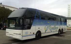 334 Автобус на весілля Neoplan 516 на 60 місць