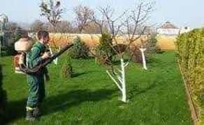 Прибирання ділянки, території. Спил дерев. Покосити , Покіс трави