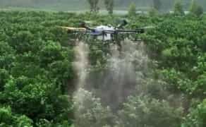 Послуги агродронів (DJI Agras)