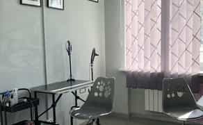 Стрижка собак та котів Дніпро Лівий берег. Грумінг Дніпро