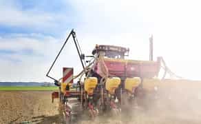 Саджалка - сівалка, посів ріпаку