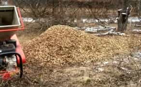 Дробление 800, измельчение веток (900 грн/час)