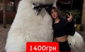 Мішка Аніматор (Білий Ведмідь): Запальні Танці та Вручення Подарунків!