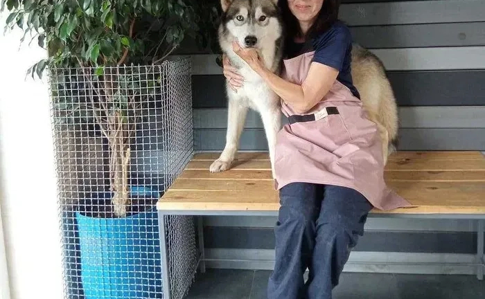 Стрижка (груминг) собак и кошек Новые Дома