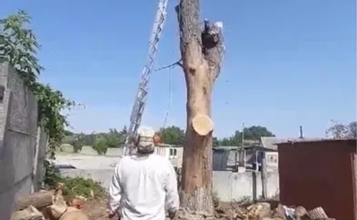 Спилювання Дерев Будь-якої Складності | Послуги Арбористів Спилювання Дерев Будь-якої Складності | Послуги Арбористів