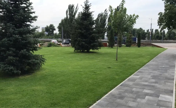 Послуги садівника Уход за рослинами Газон рулонний посівний Послуги садівника Уход за рослинами Газон рулонний посівний