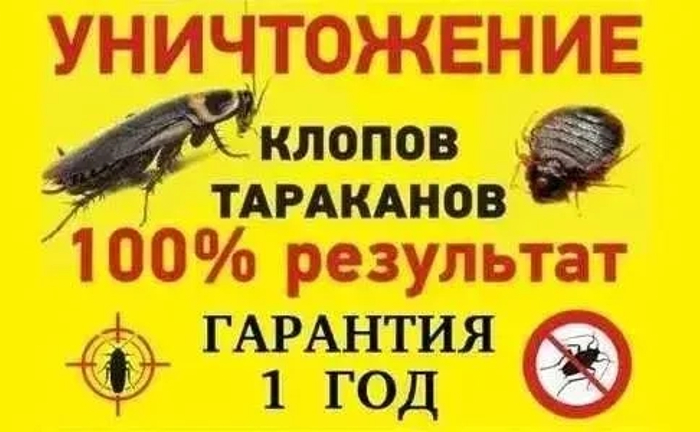 Знищення тарганів клопів труїти вивести бліх клопів тарганів