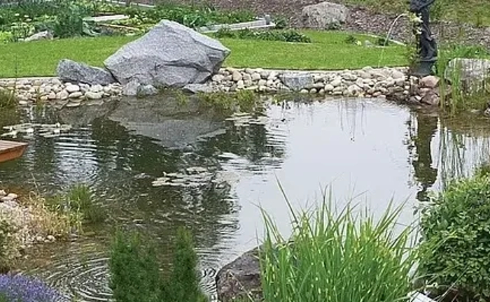 Створення декоративно - плавального ставка Створення декоративно - плавального ставка