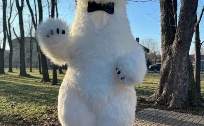 Білий ведмідь, привітання для дітей, паперове шоу. Стрептизерша для чоловіків. Аніматор